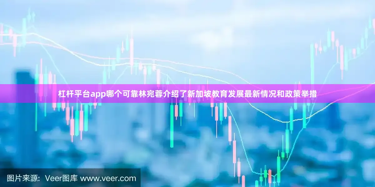 杠杆平台app哪个可靠林宛蓉介绍了新加坡教育发展最新情况和政策举措