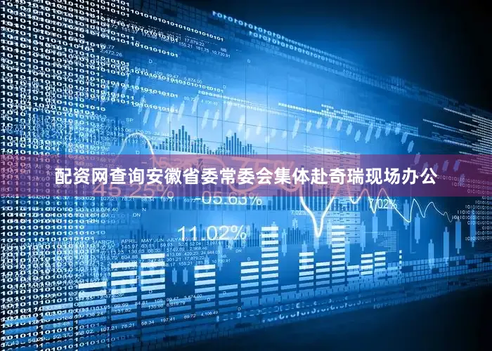 配资网查询安徽省委常委会集体赴奇瑞现场办公