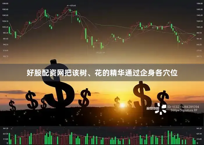 好股配资网把该树、花的精华通过企身各穴位
